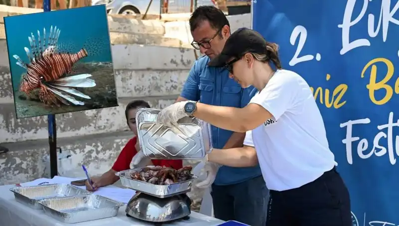 Antalya'da İstila Yarışması: Aslan Balığı Avlamak İçin Büyük Mücadele