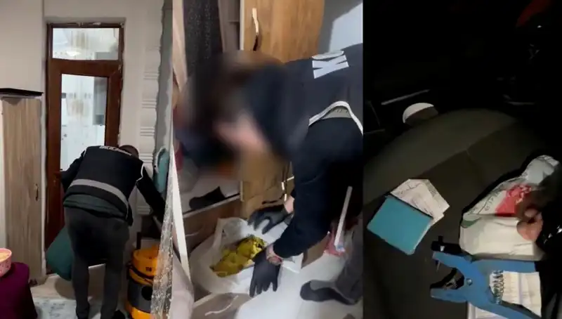 Hayvan Sevk Belgelerindeki Usulsüzlükler Dikkat Çekiyor: Dokuz Kişi Gözaltına Alındı